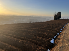 <b>还能借帮冬季低温冻晒杀灭病虫害</b>